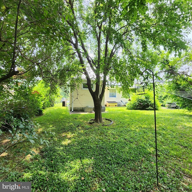5508 Mayview Ave, Baltimore, MD 21206 - view of green lawn