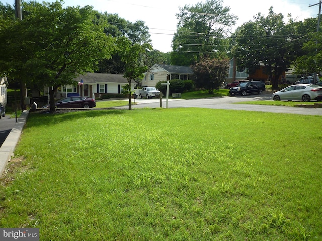 15 University Ave, Baltimore, MD 21228 - view of green lawn featuring driveway