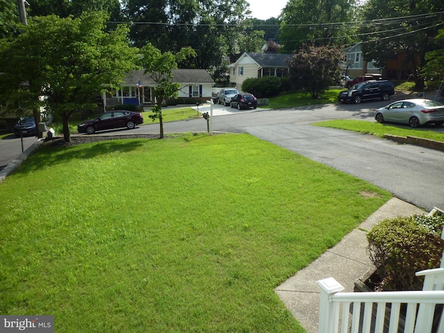 15 University Ave, Baltimore, MD 21228 - view of green lawn