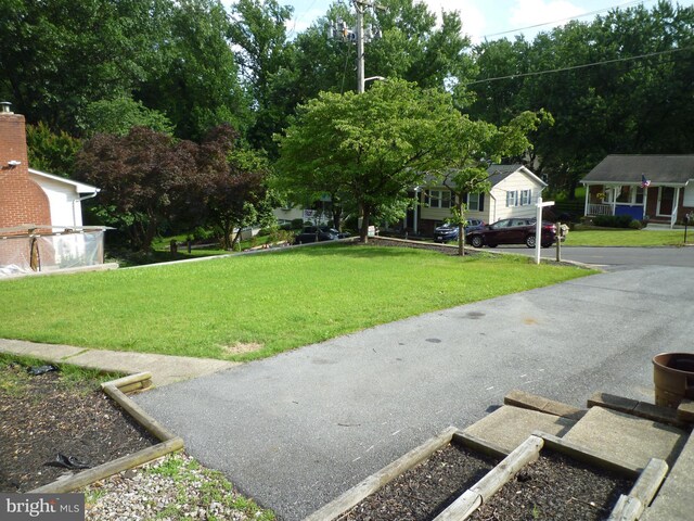 15 University Ave, Baltimore, MD 21228 - view of green lawn