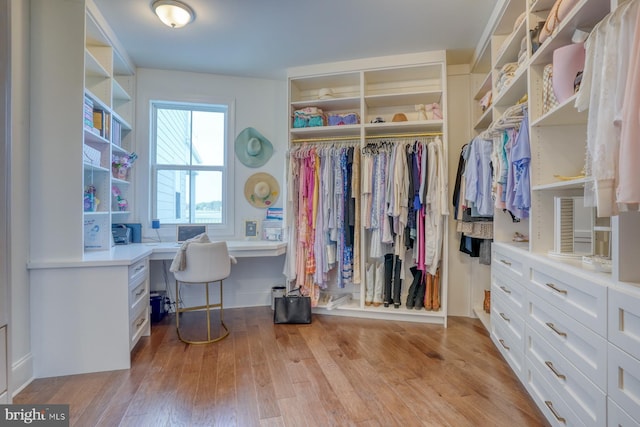 22261 Waterview Rd, Lewes, DE 19958 - walk in closet with built in study area and light wood-type flooring