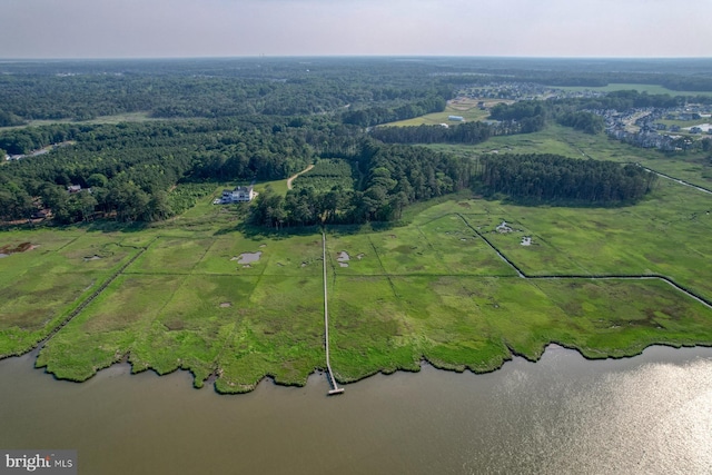 22261 Waterview Rd, Lewes, DE 19958 - overview of rural landscape featuring a large body of water