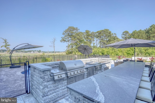 22261 Waterview Rd, Lewes, DE 19958 - fenced backyard with area for grilling, outdoor dining space, and a patio area