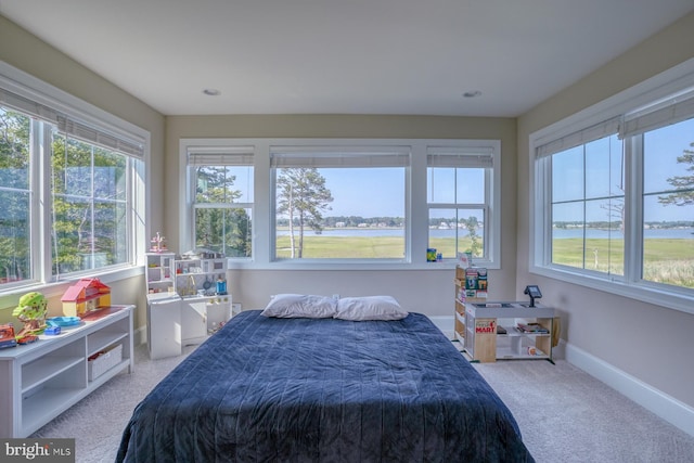 22261 Waterview Rd, Lewes, DE 19958 - bedroom featuring multiple windows, a water view, and carpet flooring