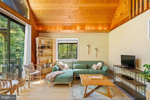877 Shangri La Rd, Bentonville, VA 22610 - living room featuring plenty of natural light, lofted ceiling, wood ceiling, and wood finished floors