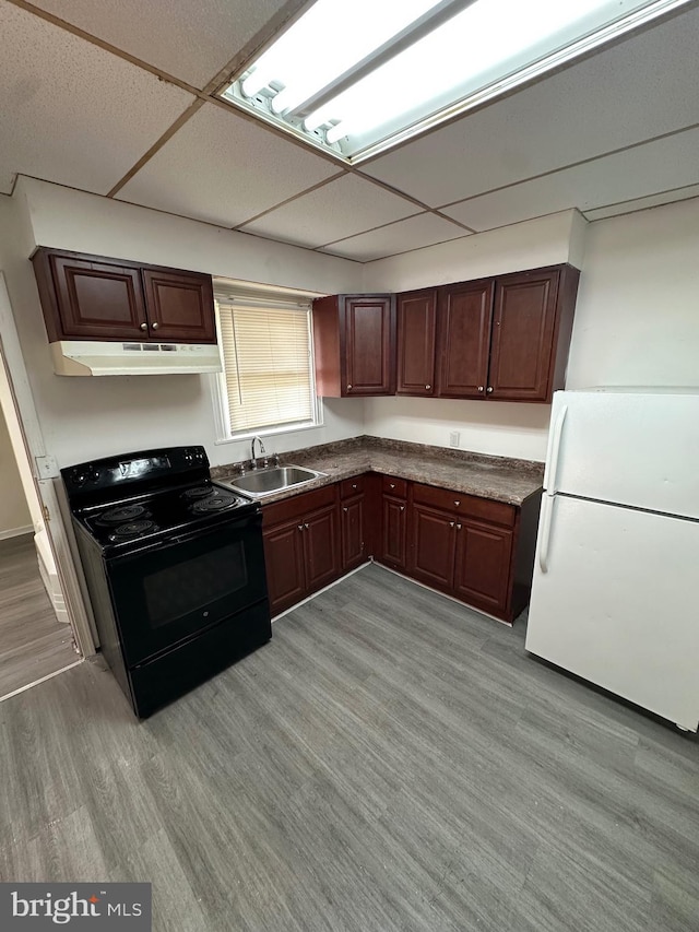 312 N 2nd St, Millville, NJ 08332 - kitchen featuring black / electric stove, freestanding refrigerator, under cabinet range hood, light wood-style flooring, and dark brown cabinets