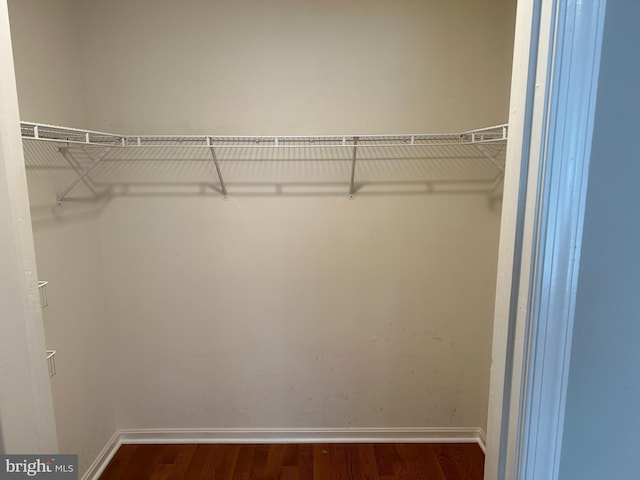 20 Harbour Heights Dr Unit 20, Annapolis, MD 21401 - spacious closet with dark wood-style flooring
