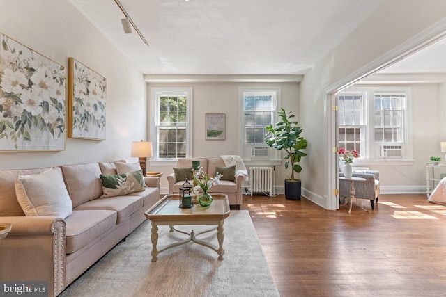 1623 Lanier Pl NW Unit 202, Washington, DC 20009 - living area with radiator heating unit, wood finished floors, and cooling unit