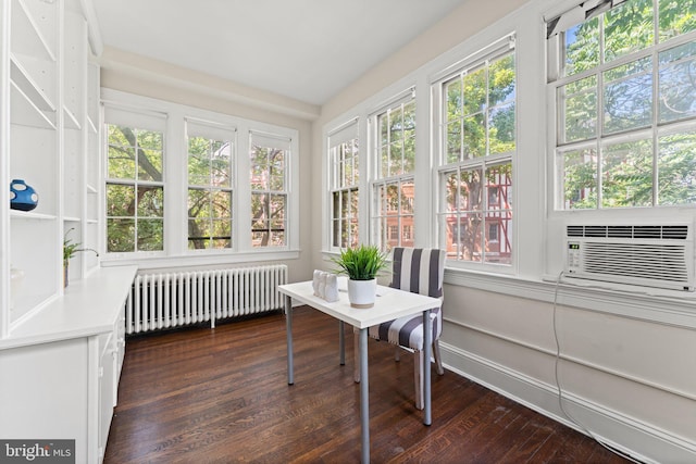 1623 Lanier Pl NW Unit 202, Washington, DC 20009 - sunroom / solarium with radiator, healthy amount of natural light, and cooling unit