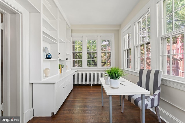 1623 Lanier Pl NW Unit 202, Washington, DC 20009 - sunroom / solarium with radiator heating unit, healthy amount of natural light, and wood finished floors