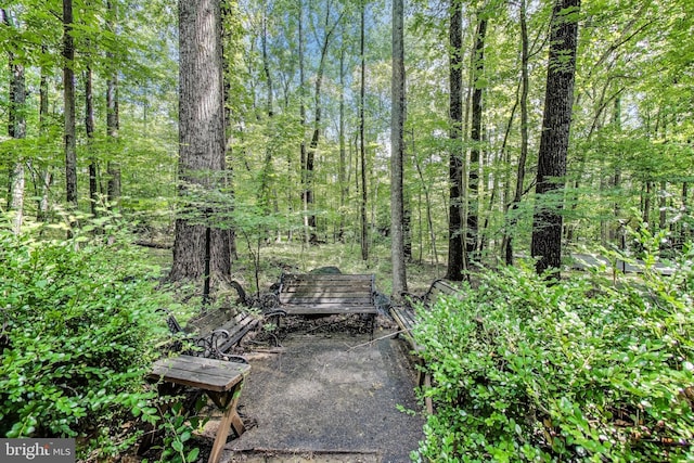 6536 Little Ox Rd, Fairfax Station, VA 22039 - view of community
