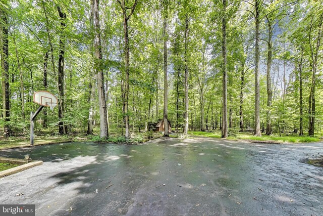 6536 Little Ox Rd, Fairfax Station, VA 22039 - water view featuring a heavily wooded area