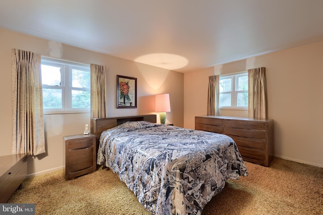 2202 Burkey Dr, Reading, PA 19610 - bedroom featuring light colored carpet