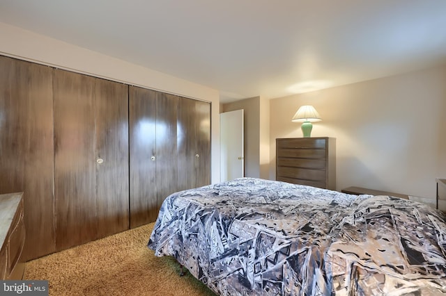 2202 Burkey Dr, Reading, PA 19610 - carpeted bedroom featuring a closet
