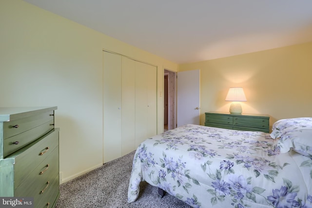 2202 Burkey Dr, Reading, PA 19610 - bedroom with carpet flooring and a closet