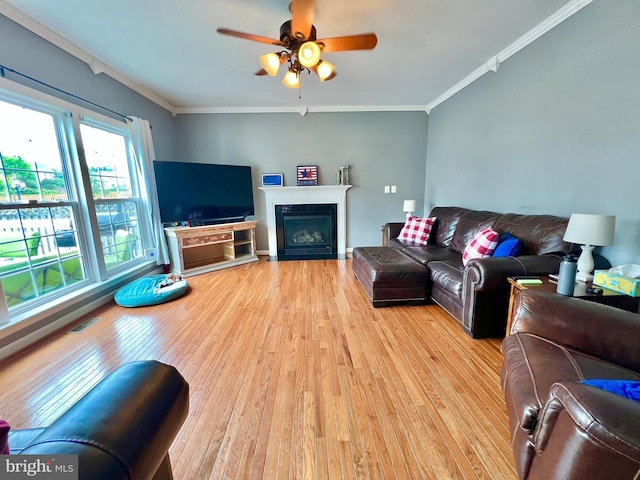 16331 Eagle Flight Cir, Woodbridge, VA 22191 - living area with light wood finished floors, crown molding, ceiling fan, and a fireplace