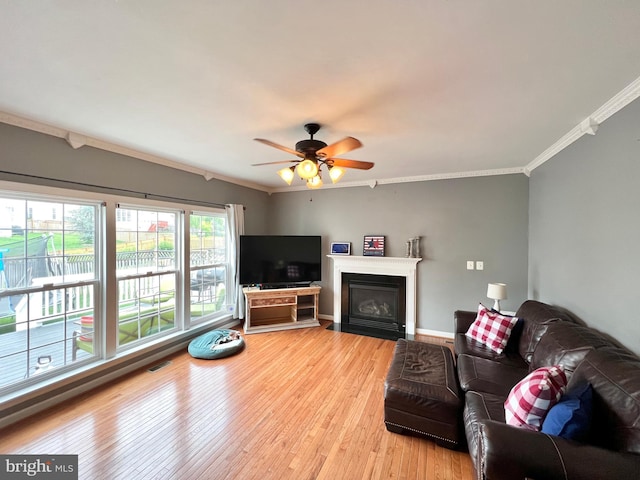 16331 Eagle Flight Cir, Woodbridge, VA 22191 - living area featuring crown molding, light wood-style floors, ceiling fan, and a fireplace with flush hearth