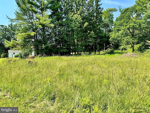 13709 Fir Tree Ln, Cresaptown, MD 21502 - view of nature