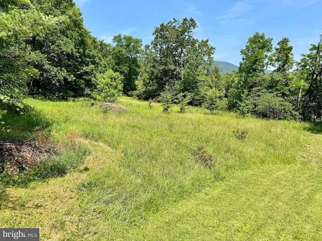 13709 Fir Tree Ln, Cresaptown, MD 21502 - view of local wilderness featuring mountains