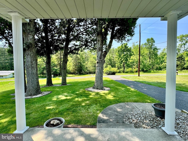 13709 Fir Tree Ln, Cresaptown, MD 21502 - view of green lawn