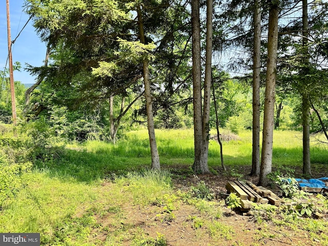 13709 Fir Tree Ln, Cresaptown, MD 21502 - view of undeveloped land