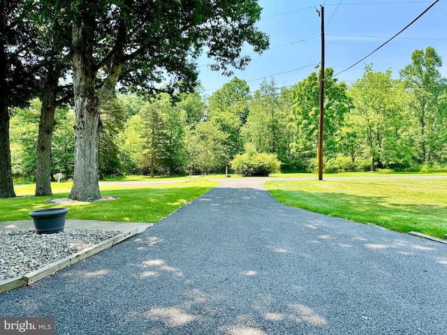 13709 Fir Tree Ln, Cresaptown, MD 21502 - view of road