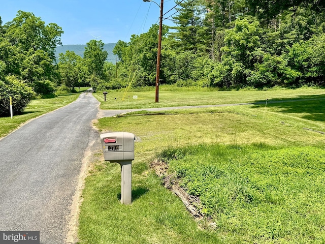 13709 Fir Tree Ln, Cresaptown, MD 21502 - view of asphalt street