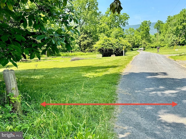 13709 Fir Tree Ln, Cresaptown, MD 21502 - view of asphalt road