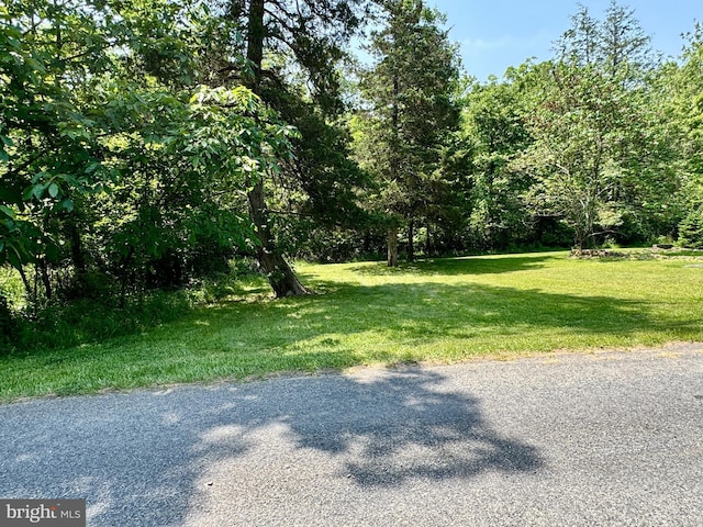 13709 Fir Tree Ln, Cresaptown, MD 21502 - view of grassy yard
