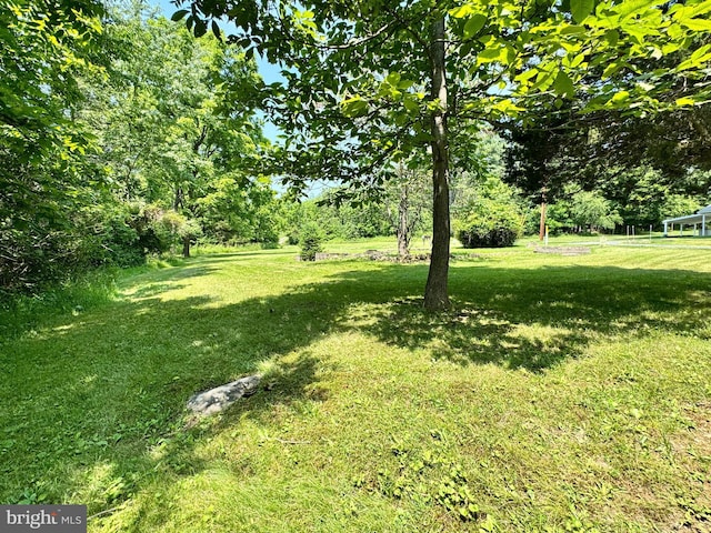 13709 Fir Tree Ln, Cresaptown, MD 21502 - view of green lawn