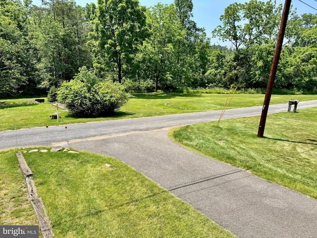13709 Fir Tree Ln, Cresaptown, MD 21502 - view of road