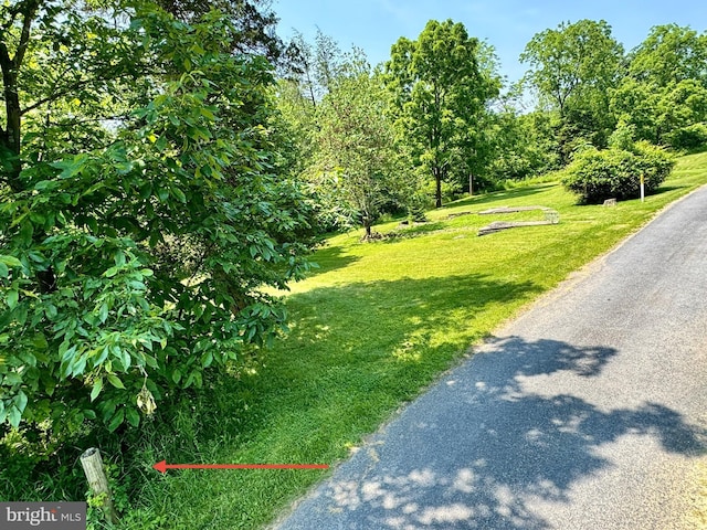 13709 Fir Tree Ln, Cresaptown, MD 21502 - view of road