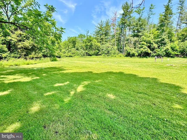 13709 Fir Tree Ln, Cresaptown, MD 21502 - view of green lawn