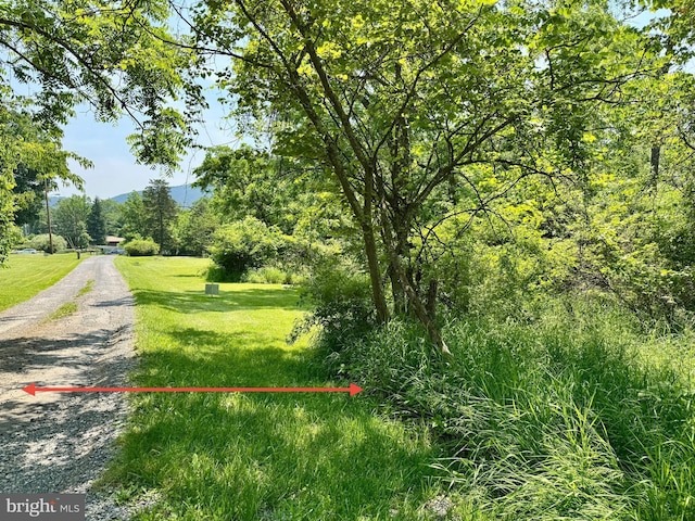 13709 Fir Tree Ln, Cresaptown, MD 21502 - view of community with a yard