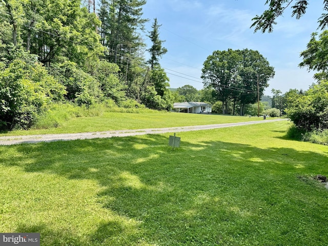 13709 Fir Tree Ln, Cresaptown, MD 21502 - view of green lawn