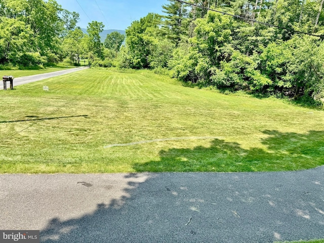 13709 Fir Tree Ln, Cresaptown, MD 21502 - view of grassy yard
