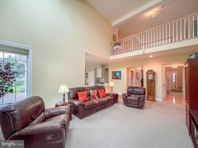 19 Pheasant Run Rd, New Hope, PA 18938 - living room featuring high vaulted ceiling and carpet