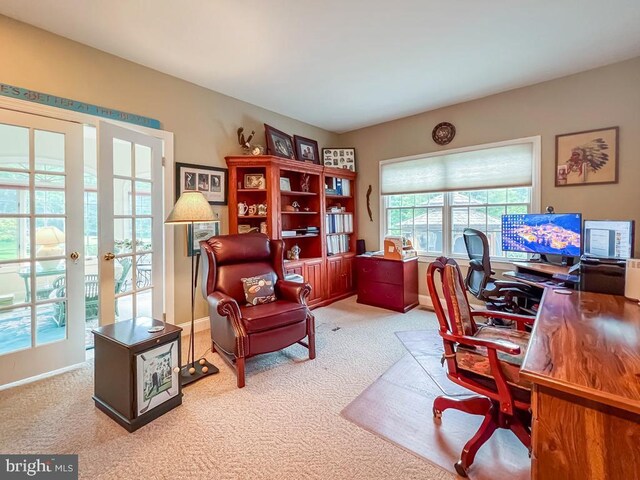 19 Pheasant Run Rd, New Hope, PA 18938 - office with light colored carpet and french doors