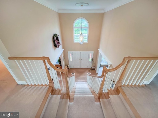 19 Pheasant Run Rd, New Hope, PA 18938 - foyer with stairway, a chandelier, ornamental molding, wood finished floors, and a high ceiling