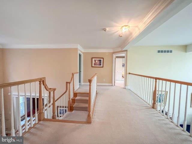 19 Pheasant Run Rd, New Hope, PA 18938 - hall with carpet floors and ornamental molding