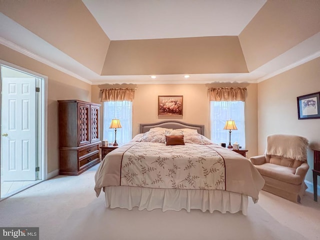 19 Pheasant Run Rd, New Hope, PA 18938 - bedroom with light carpet, a raised ceiling, and crown molding