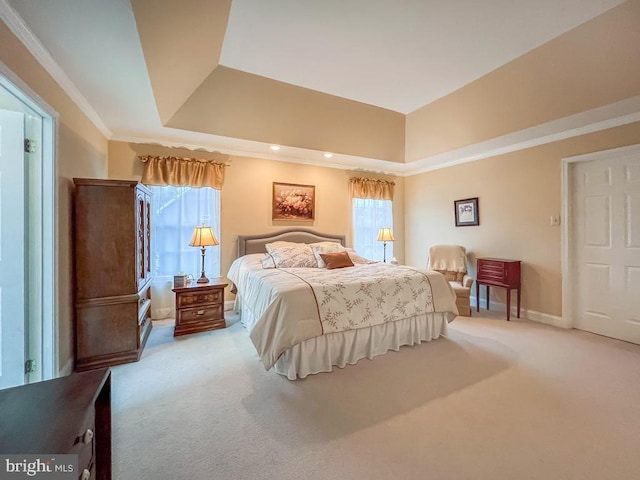 19 Pheasant Run Rd, New Hope, PA 18938 - bedroom featuring carpet floors and a raised ceiling