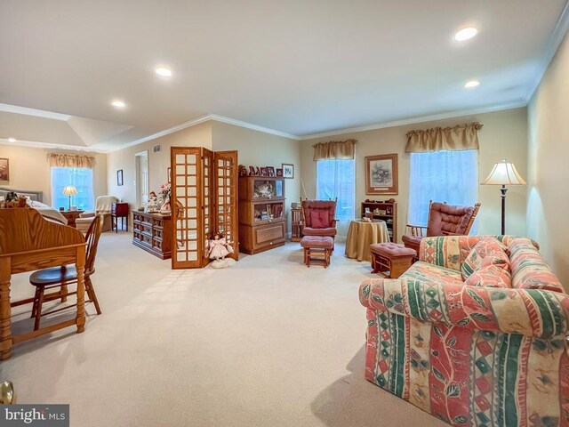 19 Pheasant Run Rd, New Hope, PA 18938 - living room with ornamental molding, carpet floors, healthy amount of natural light, and recessed lighting