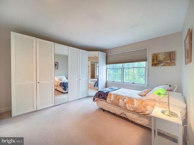 19 Pheasant Run Rd, New Hope, PA 18938 - bedroom featuring light colored carpet