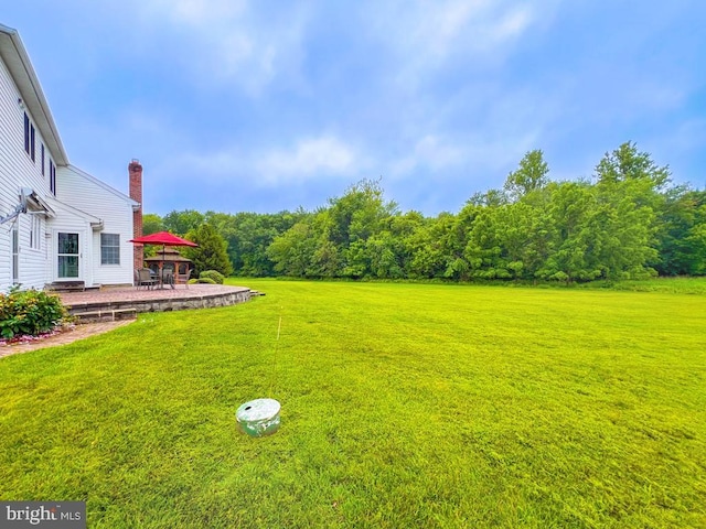 19 Pheasant Run Rd, New Hope, PA 18938 - view of grassy yard featuring a patio