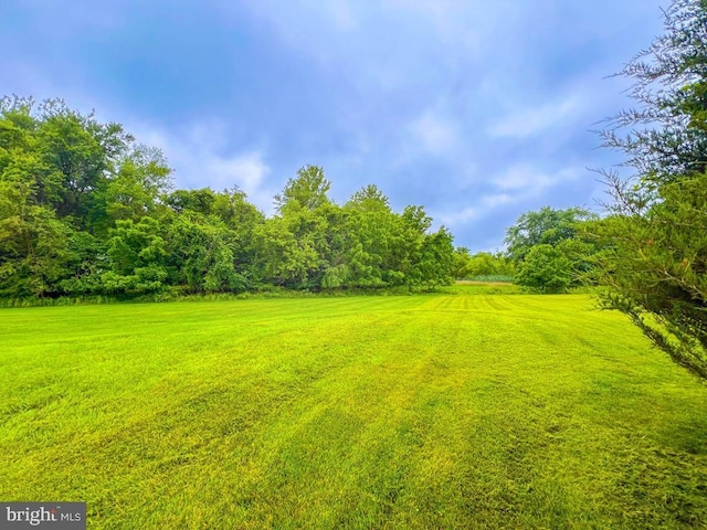 19 Pheasant Run Rd, New Hope, PA 18938 - view of green lawn