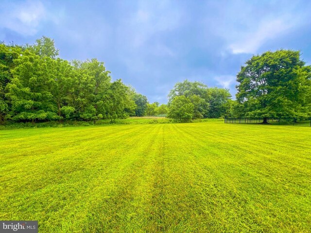 19 Pheasant Run Rd, New Hope, PA 18938 - view of yard