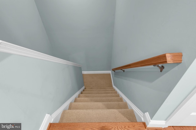 810 Broken Twig Ct, Odenton, MD 21113 - stairs featuring baseboards and carpet floors