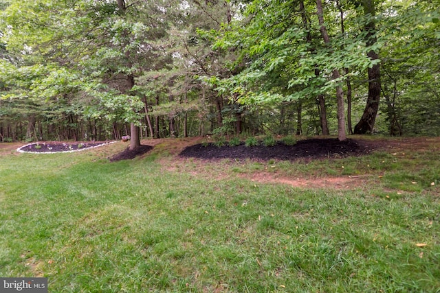 810 Broken Twig Ct, Odenton, MD 21113 - view of green lawn with a view of trees
