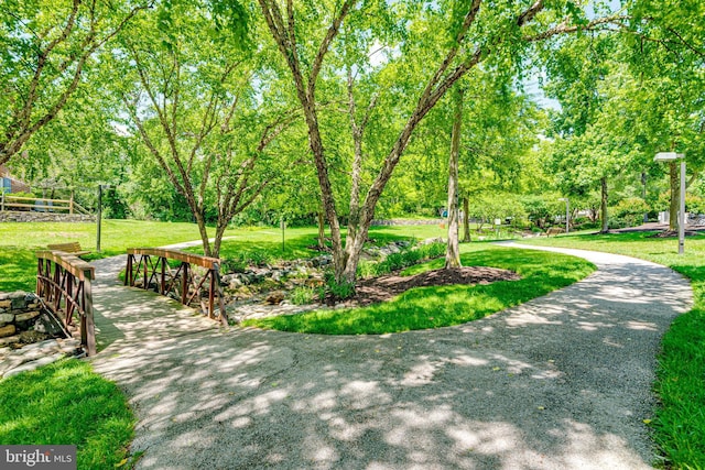 810 Broken Twig Ct, Odenton, MD 21113 - view of home's community with a yard